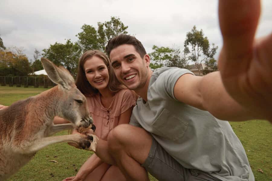 Brisbane River Cruise and Koala Sanctuary Visit - Who Will Enjoy This Tour?