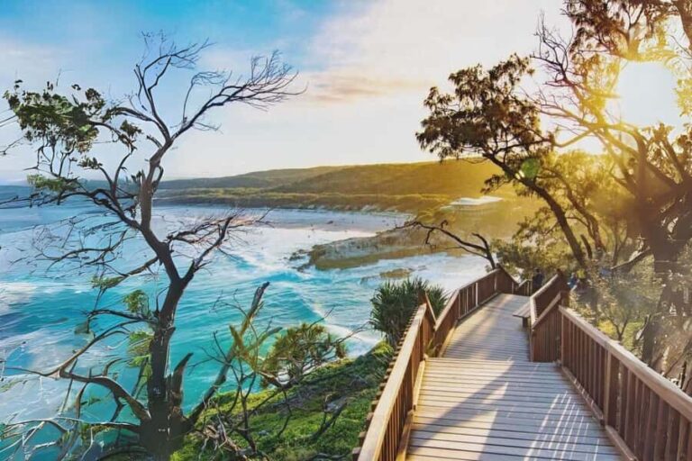 Brisbane to North Stradbroke Island Day: Wildlife & Beaches - An In-Depth Look at the Experience