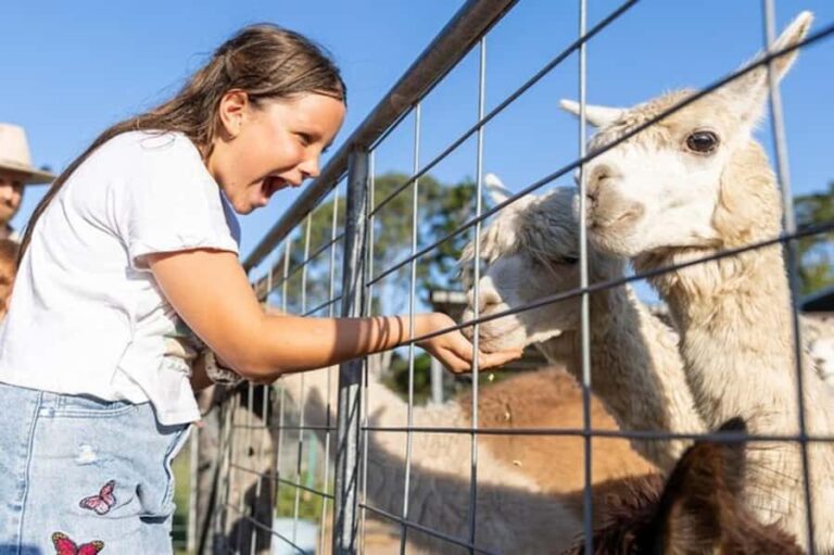 Brisbane: Trevena Glen Farm 1hr Animal Experience - What You Can Expect During the Experience