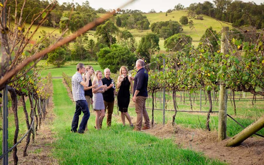 Brisbane: Wine & Dine In The Vines - Practicalities and Considerations