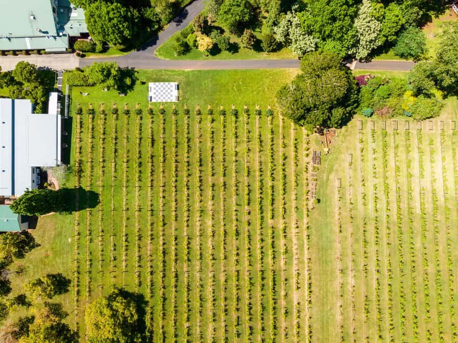 Brisbane: Winery Tour with Tastings and 2-Course Lunch - What We Think Works Well