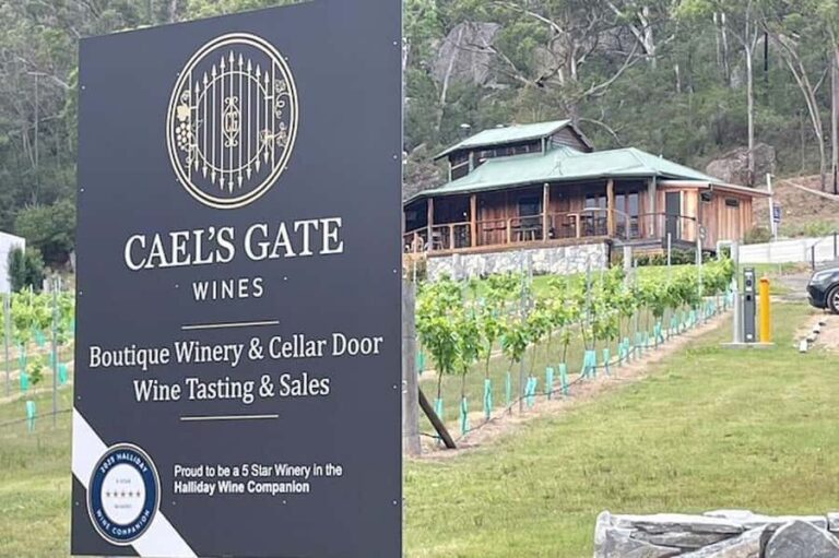 Broke: Guided Caels Gate Wine Tasting - Who Will Enjoy This Tour?