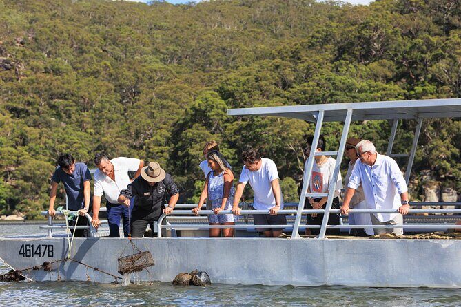 Broken Bay Pearl & Oyster Farm Tours - Why This Tour Might Be Perfect for You