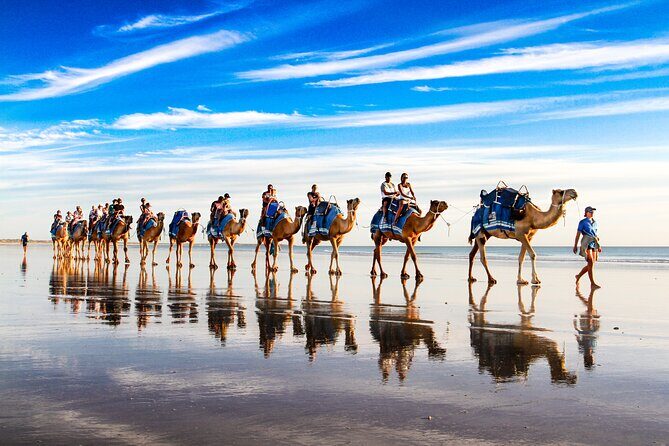 Broome Pre-sunset Camel Tour 30 minutes - The Experience of the Camel Ride