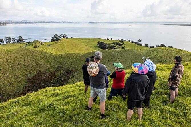 Browns Island Motukorea Sea Kayak Tour - What To Expect During the Experience