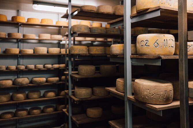 Bruny Island Day Tour Scenic Views And Local Tastings - Who Should Consider This Tour?