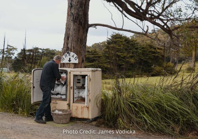 Bruny Island: Guided Sightseeing Tour (8hr Private Tour) - Exploring Bruny Island’s Top Sights