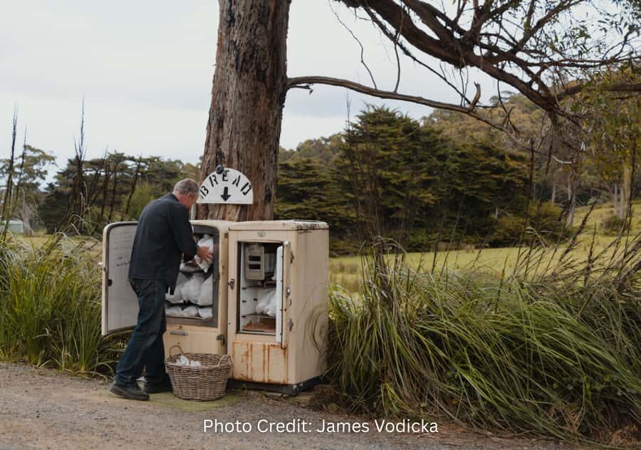 Bruny Island: Guided Sightseeing Tour (8hr Private Tour) - Exploring Bruny Island’s Top Sights