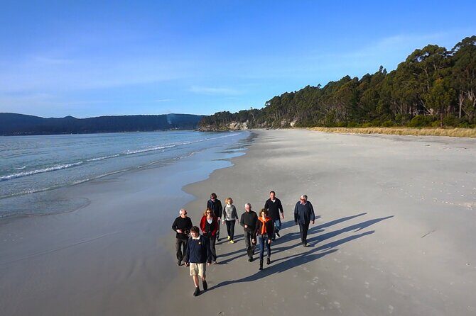 Bruny Island Traveller - Gourmet Tasting and Sightseeing Day Trip from Hobart - Why This Tour Offers Great Value