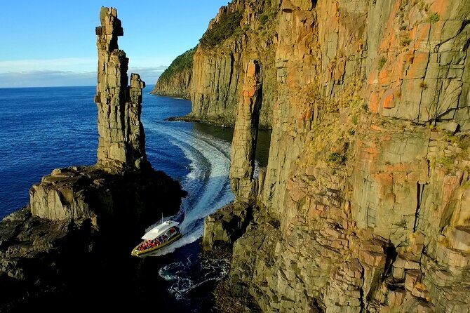 Bruny Island Wilderness Cruise from Adventure Bay, Bruny Island - The Experience: What Makes it Stand Out