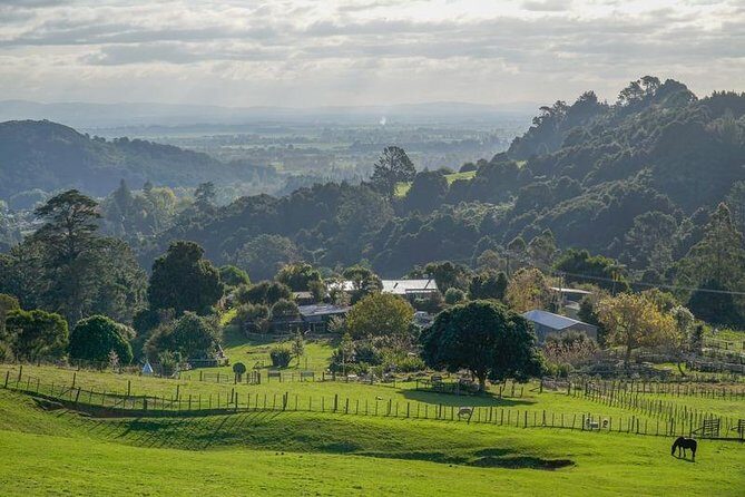 Bullswool Heritage Farm General Entry Ticket - Visiting Details and Practical Tips