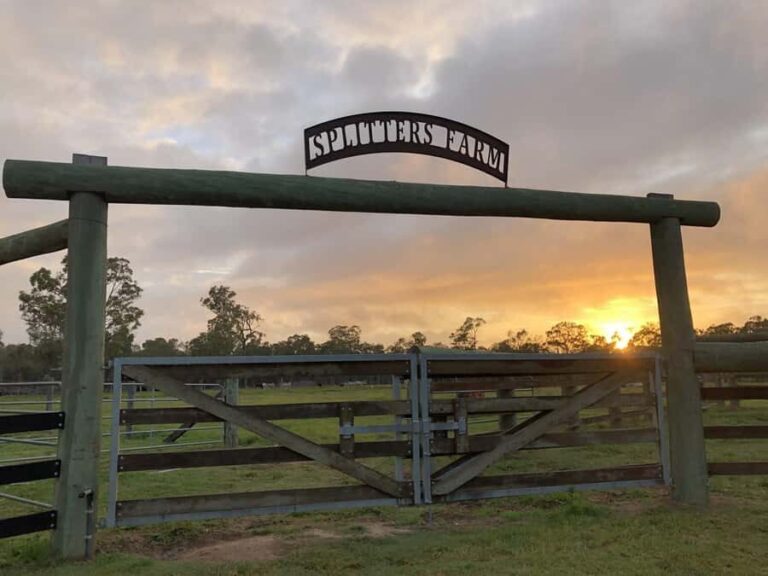 Bundaberg: Family-Friendly Entry Ticket to Splitters Farm - What the Reviews Say