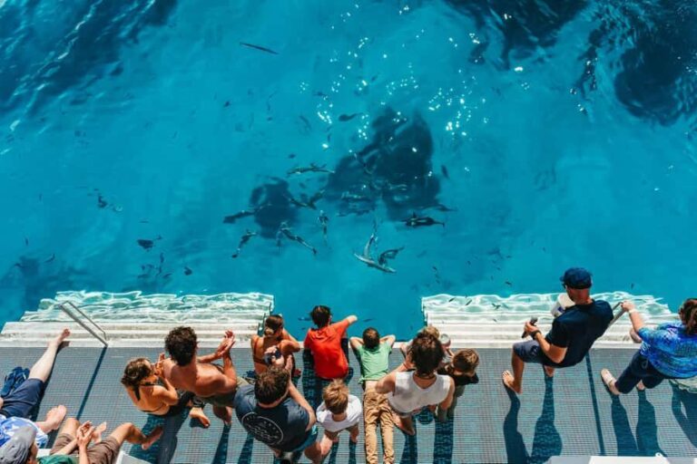 Bundaberg: Lady Musgrave Island and Great Barrier Reef Tour - The Real Experience: What Travelers Are Saying