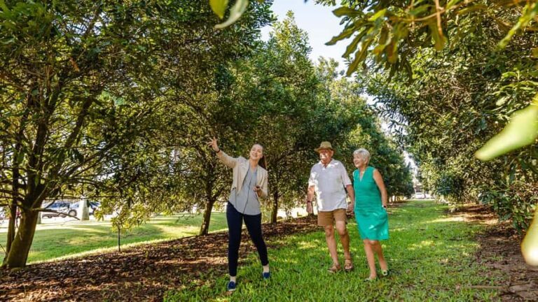 Bundaberg: Macadamia Orchard Tour - Analyzing the Experience: Value and Practical Considerations