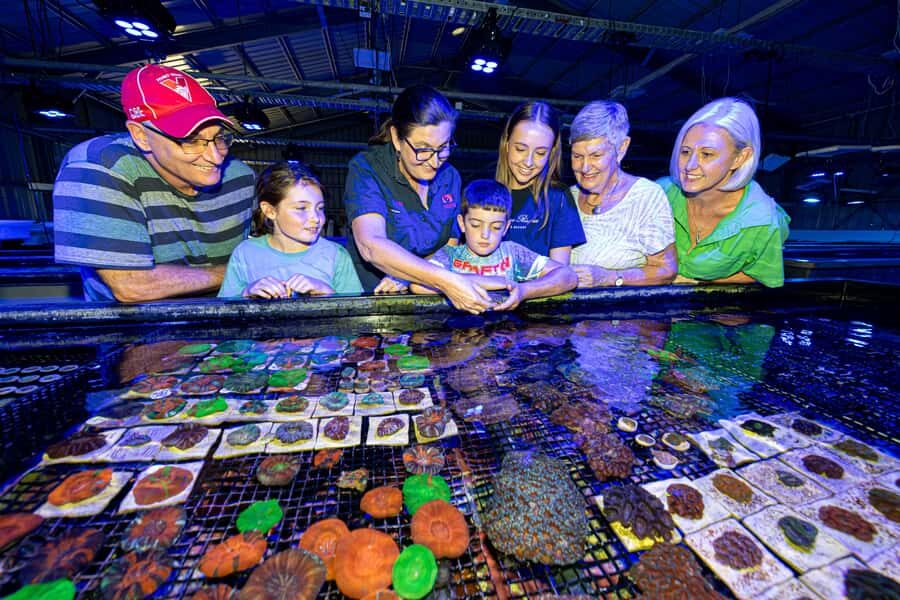 Bundaberg: Monsoon Aquatics Coral Farm Guided Tour - What Makes This Tour Special?