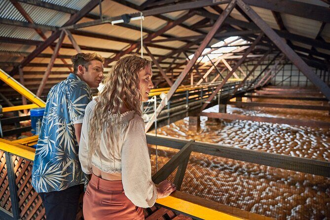 Bundaberg Rum Behind The Scenes Distillery Tour And Museum Experience - What Makes This Tour Stand Out