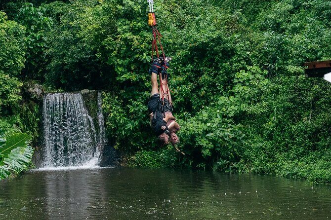 Bungy Jump Experience at Skypark Cairns by AJ Hackett - Who Is This Tour Best For?