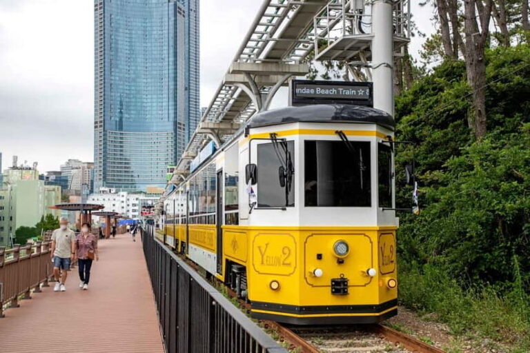Busan: Busan 9 Highlights Tour - The Value Proposition