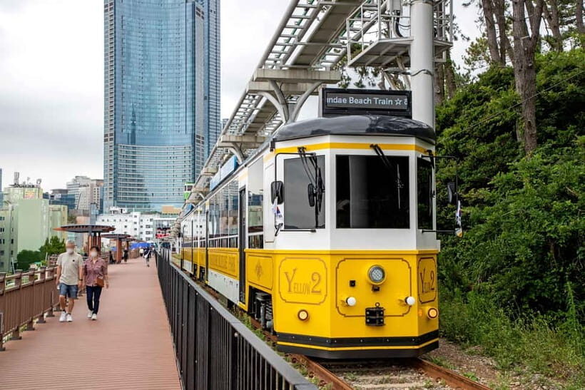 Busan: Busan 9 Highlights Tour - The Value Proposition