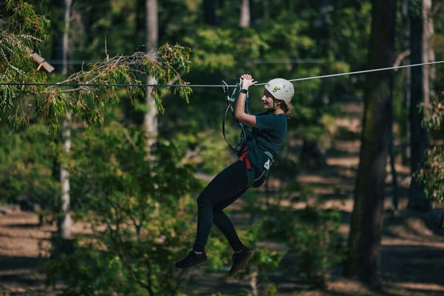Busselton: Forest Adventure with Zip Lining and Rope Course - Overview of the Adventure