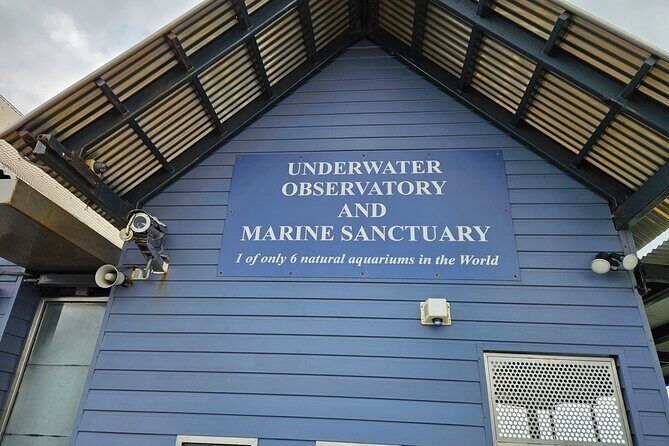 Busselton Jetty and Underwater Observatory - What’s Included and What’s Not