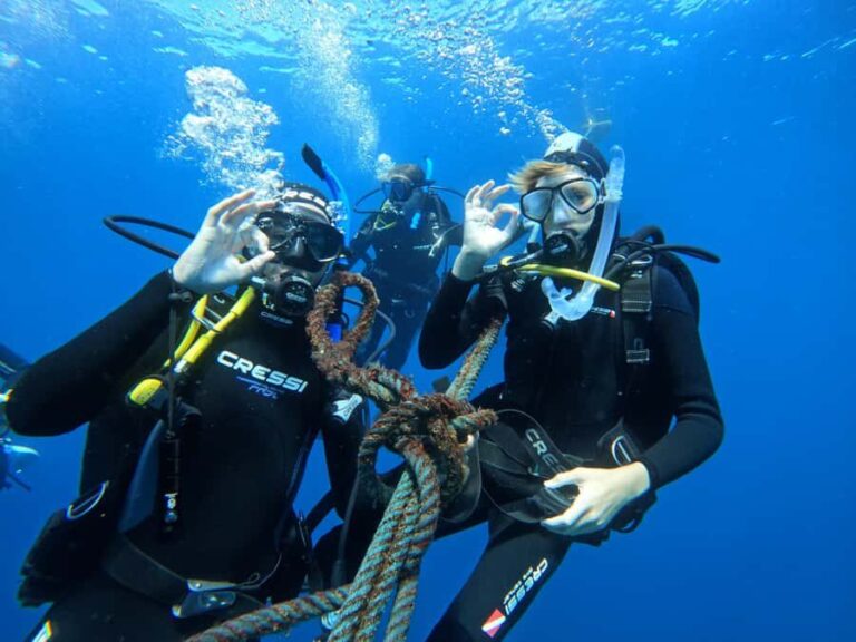 Busselton: Jetty Discover Scuba Diving Experience - What Makes This Tour Special?
