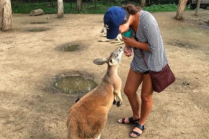 Byron Bay and Currumbin Wildlife Sanctuary Day Tour - Who Should Consider This Tour?