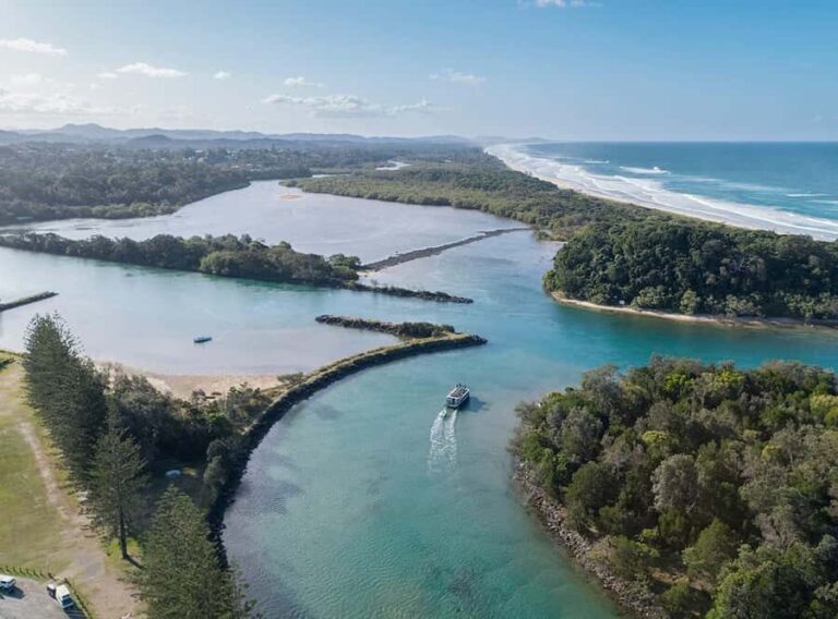 Byron Bay: Brunswick River Eco-Cruise with Brunch - Why This Experience Matters