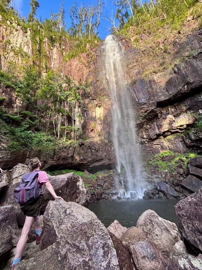 Byron Bay: Glowworms, Waterfalls & Rainforest Experience - What to Expect: The Experience in Detail