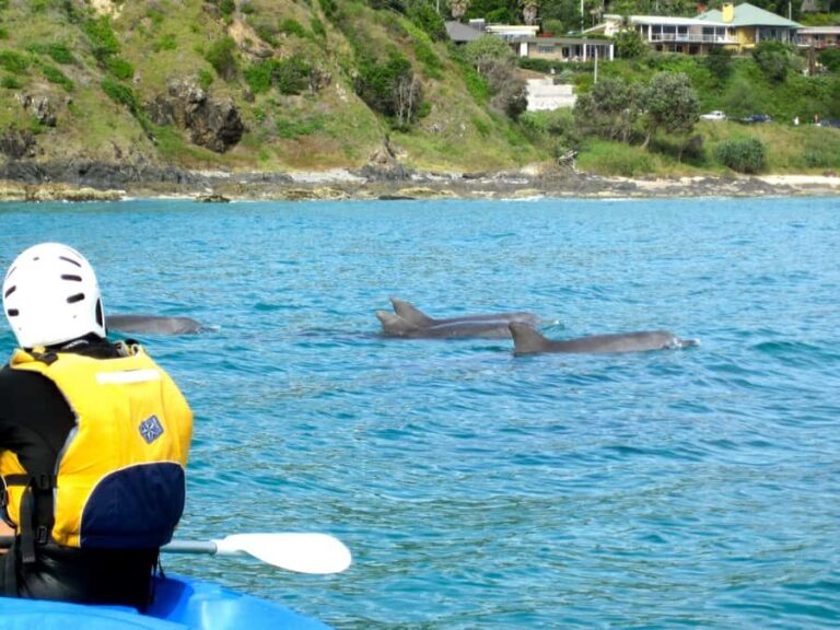 Byron Bay: The Byron Bay Sea Kayak Tour - Why This Tour Works for Travelers
