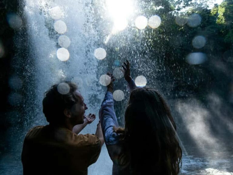 Byron Bay: Wildlife and Waterfall Tour with Breakfast - What’s the Value? Breaking Down the Cost
