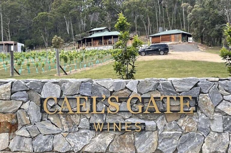 Cael's Gate Wine Tasting with Cheese and Charcuterie Board - Who Will Love Cael’s Gate?