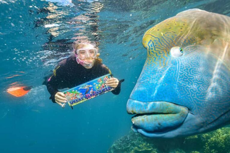 Cairns: 2-Day Barrier Reef Pontoon & Fitzroy Island Tour - Who Should Consider This Tour?