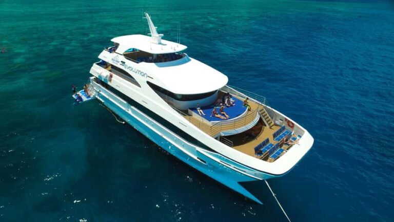 Cairns: 2-Day Great Barrier Reef & Daintree Rainforest Tour - Transportation and Group Size
