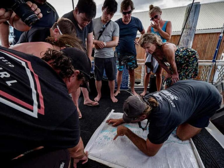 Cairns: 2-Day Great Barrier Reef Dive and Snorkel Boat Trip - Authentic Feedback from Travelers