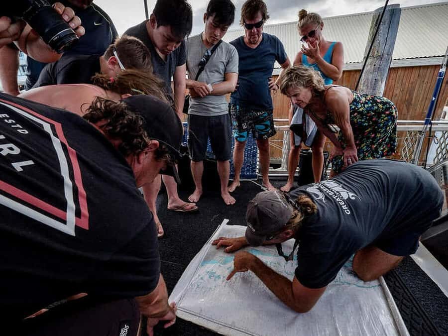 Cairns: 2-Day Great Barrier Reef Dive and Snorkel Boat Trip - Authentic Feedback from Travelers