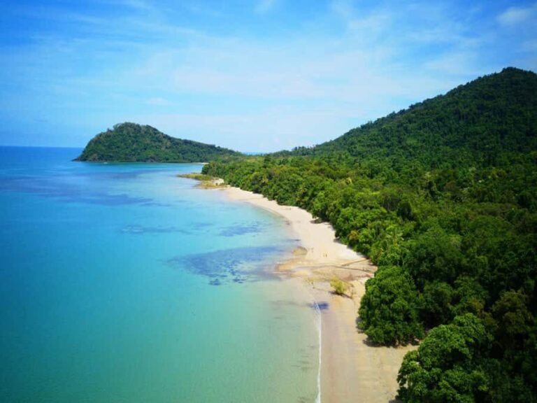 Cairns : 2 Days Daintree & Reef Experience - Rainforest activities and canopy adventures