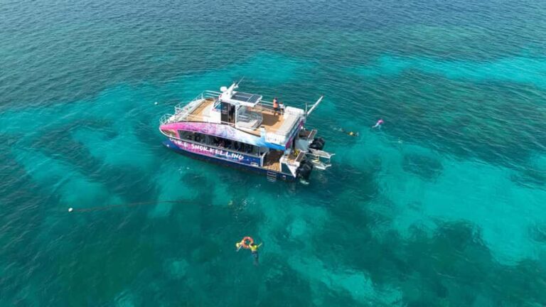 Cairns: All-Inclusive Great Barrier Reef Half-Day Snorkeling - The Itinerary: What You’ll Experience