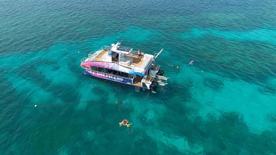 Cairns: All-Inclusive Great Barrier Reef Half-Day Snorkeling - The Itinerary: What You’ll Experience