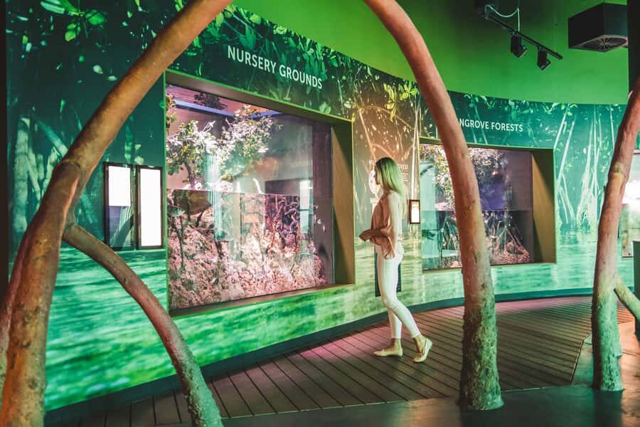 Cairns: Aquarium and Tomb of the Pharaohs Entry Ticket - In-Depth Breakdown: The Experience
