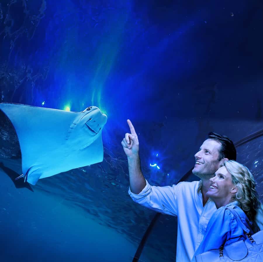 Cairns: Aquarium Guided Twilight Tour with 3-Course Dinner - Who Will Love This Tour?