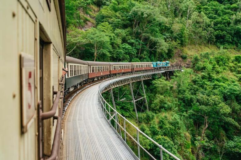 Cairns: Best of the Kuranda Rainforest Full-Day Tour & Lunch - Transportation and Logistics