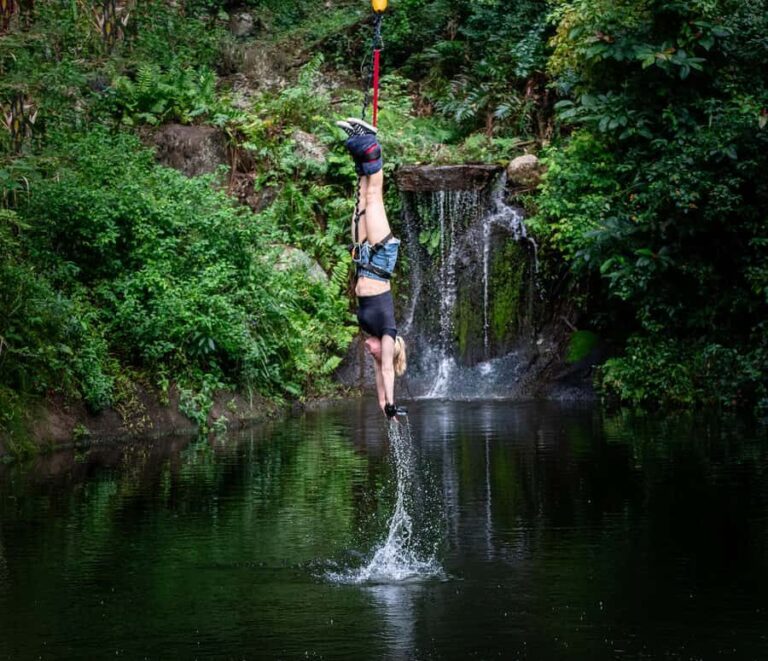 Cairns: Bungy Jump & Giant Swing Combo - What Makes This Tour Stand Out?
