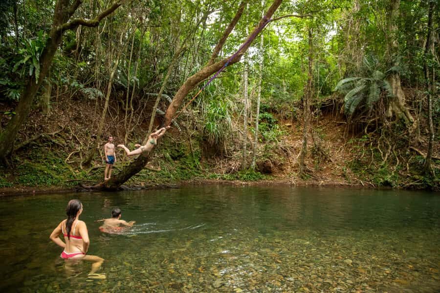 Cairns: Cape Tribulation, Beaches, Crocs & Swimming Day Tour - Exploring the Tour in Detail