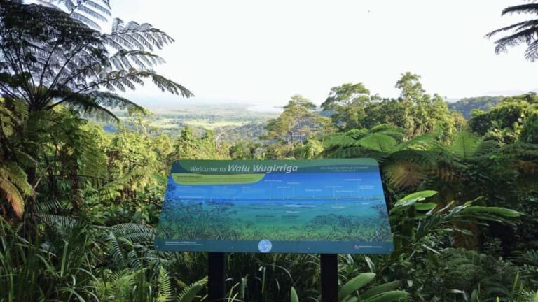 Cairns: Cape Tribulation, Mossman Gorge & Daintree Day Tour - Why This Tour Works Well