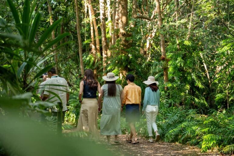 Cairns: Cattana Wetlands, Barron Falls & Kuranda Railway - Final Thoughts on Value and Experience