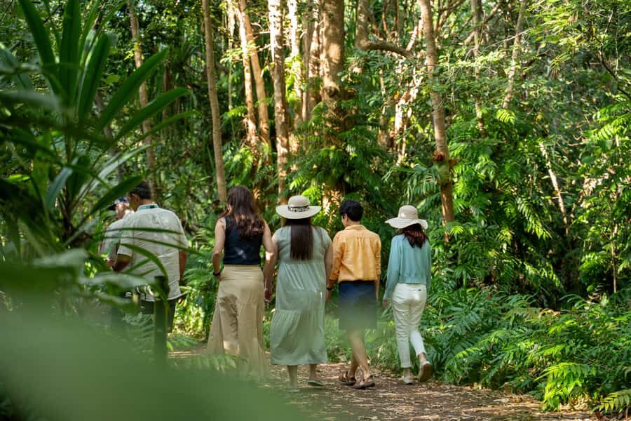 Cairns: Cattana Wetlands, Barron Falls & Kuranda Railway - Final Thoughts on Value and Experience