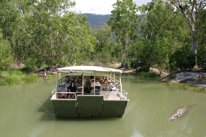 Cairns Cruise Ship Shore Excursion Crocodile and Wildlife Park - Who This Tour Is Best For