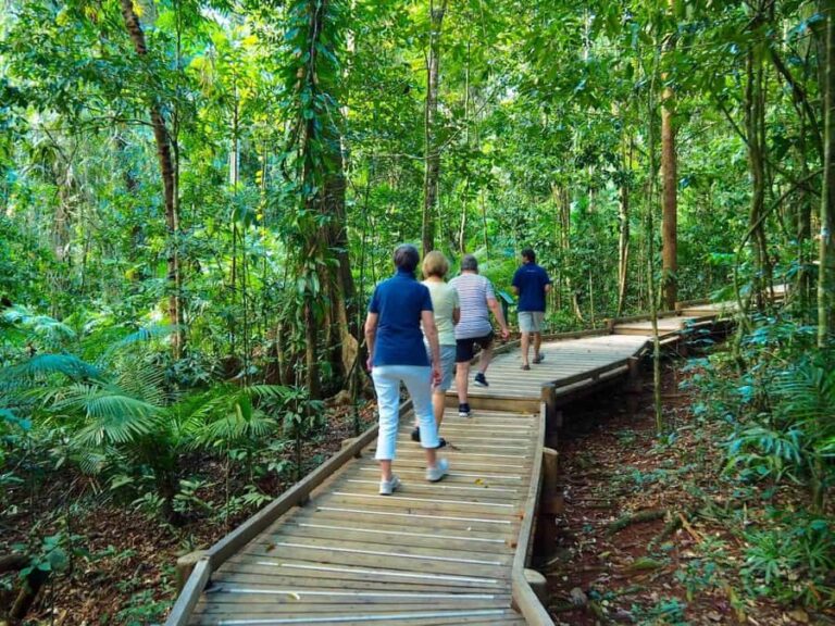 Cairns: Daintree Rainforest Canopy Ziplining Tour - The Sum Up: Who Should Consider This Tour?