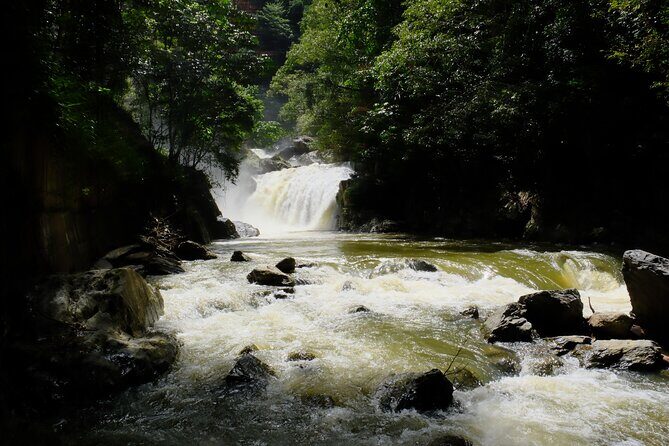 Cairns Day Tour Private Waterfall - What’s Included and What to Expect